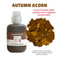 AUTUMN PALETTE - Warm Colour Pigments