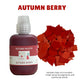 AUTUMN PALETTE - Warm Colour Pigments