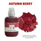 AUTUMN PALETTE - Warm Colour Pigments
