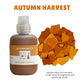 AUTUMN PALETTE - Warm Colour Pigments
