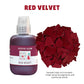 FESTIVE GLAM COLLECTION - Sophisticated Colour Pigments